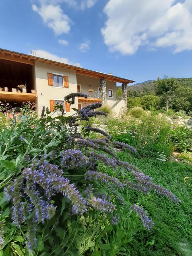 Semi Al Vento: La Bio-Casa Nel Giardino Incantato! Apartment Paesana Exterior photo